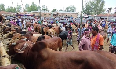 হাটে ক্রেতা নাই, কেউ দামও বলছে না
