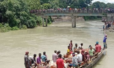  ধলেশ্বরী নদীতে গরুবোঝাই ট্রলারডুবিতে  ৬টি গরু মৃত