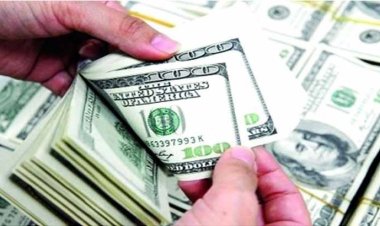 নগদ ডলারের তীব্র সংকট, দাম বেড়ে ৯৮ টাকা