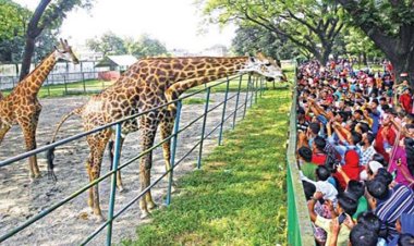 ঈদের দ্বিতীয় দিনে দর্শনার্থী বেড়েছে চিড়িয়াখানায়