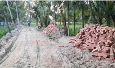 পুকুর-বর্ষা গিলে খাচ্ছে ২০ শতাংশ ইটের সড়ক