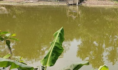 আড়াইহাজারে পানিতে ডুবে দুই শিশুর মৃত্যু