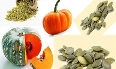 কুমড়োর বীজ ফেলে দেন? করোনা আবহে কী ভাবে সাহায্য করতে পারে