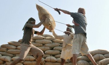 চাল আমদানিতে আগ্রহ নেই ব্যবসায়ীদের