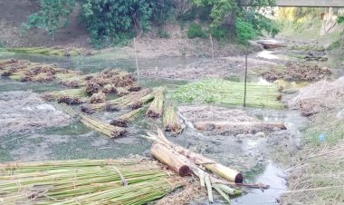 পাটের বাম্পার ফলন, তবুও দুশ্চিন্তায় চাষিরা