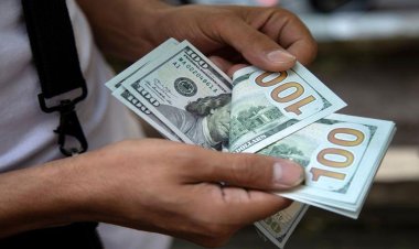 নিম্নমুখী ডলার বিক্রি হচ্ছে ১১৪ টাকায়