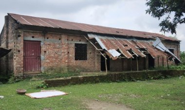 শিক্ষার্থী নেই, তবুও এমপিওভুক্ত হলো স্কুলটি 