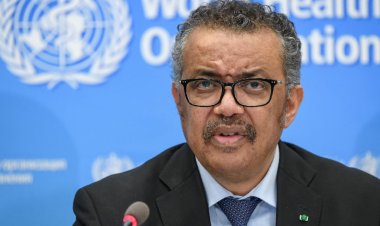 পারমাণবিক বিপর্যয় নিয়ে জাতিসংঘের সতর্কতা