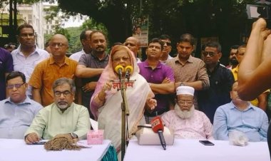 উন্নয়নের নামে সরকার হাজার হাজার কোটি টাকা বিদেশে পাচার করেছে : সেলিমা রহমান 