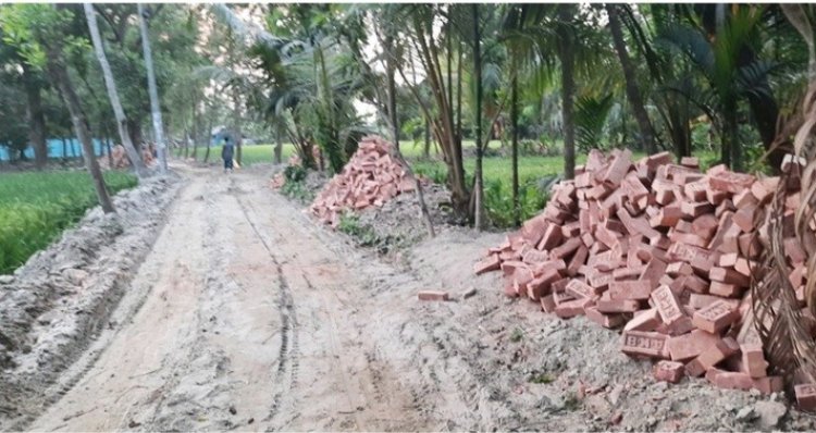 পুকুর-বর্ষা গিলে খাচ্ছে ২০ শতাংশ ইটের সড়ক