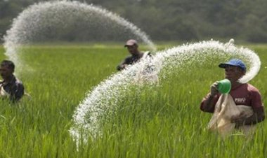 ইউরিয়া সারের দাম প্রতিকেজি ৬ টাকা বাড়লো