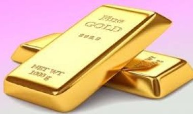 সাড়ে ৮৪ লাখ টাকার স্বর্ণ জব্দ, আটক ১