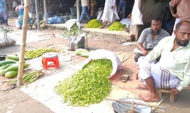 কাঁচা মরিচের কেজি এখন ২৪০ টাকা