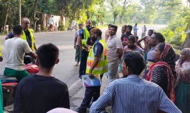 গরুবাহী নছিমন উল্টে চালক নিহত, ৩ গরুর মৃত্যু 