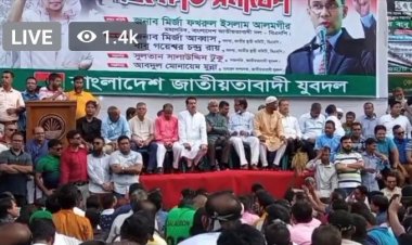 নয়াপল্টনে যুবদলের বিক্ষোভ সমাবেশে নেতাকর্মীদের ঢল