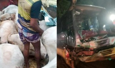 সাতক্ষীরায় বাস-ট্রাক সংঘর্ষে চালক নিহত, প্রাণ গেলো ৮ গরুর