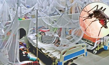 এক দিনে আরও ৯৬ ডেঙ্গু রোগী হাসপাতালে