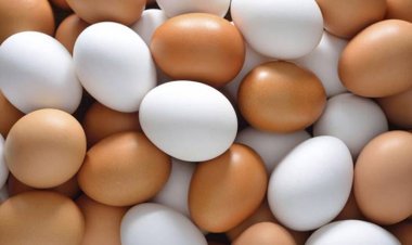 কারসাজি করে ডিমের দাম বাড়ানো হয়েছে: ভোক্তা অধিকার