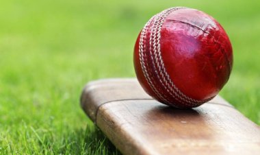  বুকে বলের আঘাত, প্রাণ হারালেন বাঙালি ক্রিকেটার