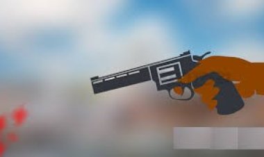 চকরিয়ায় বিএনপির নেতা-কর্মীর বাড়িতে গুলিবর্ষণ