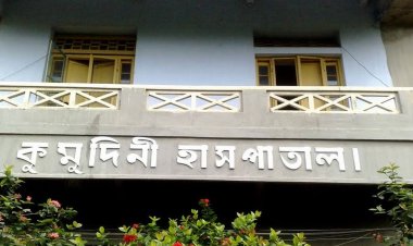 টাঙ্গাই‌লে অটোরিকশায় বাসের ধাক্কায় নিহত ২