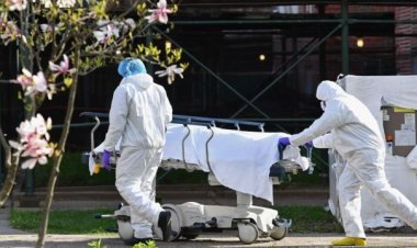  যুক্তরাষ্ট্রে একদিনে ২৫১ জনের মৃত্যু, সংক্রমণ বেশি জাপানে