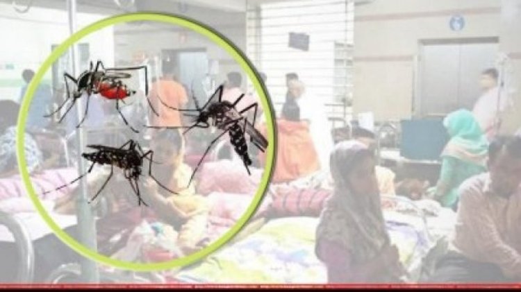 নতুন ৫৩ ডেঙ্গু রোগী হাসপাতালে ভর্তি