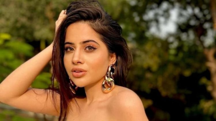 নেই কোনও পোশাক, দু’হাতেই লজ্জা নিবারণ উরফির