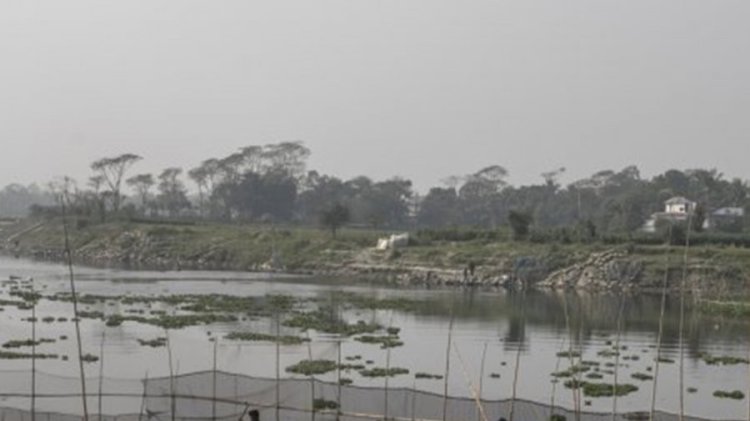 সিংড়ায় বিল থেকে নানা-নাতির লাশ উদ্ধার