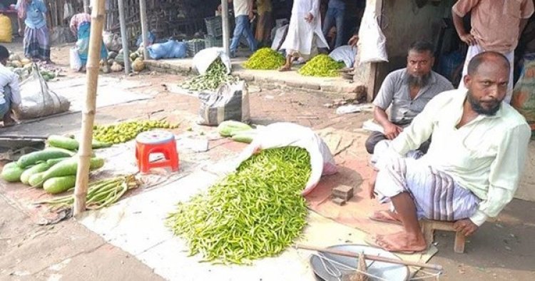 কাঁচা মরিচের কেজি এখন ২৪০ টাকা