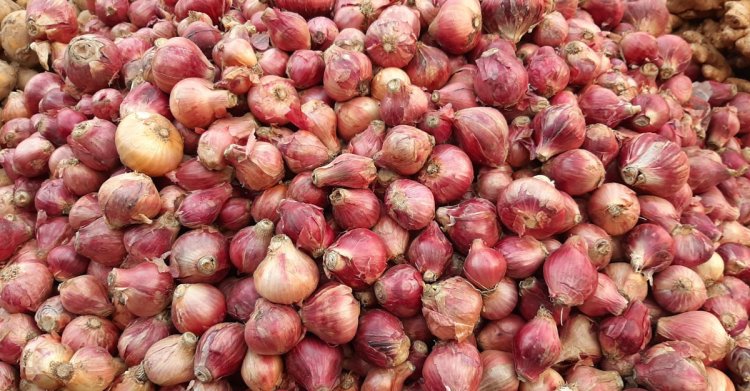কেজিতে ১০ থেকে ১৫ টাকা বেড়েছে পেঁয়াজের দাম