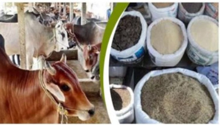 গো-খাদ্য ও জ্বালানির চড়া দামে সংকটে দুগ্ধ শিল্প