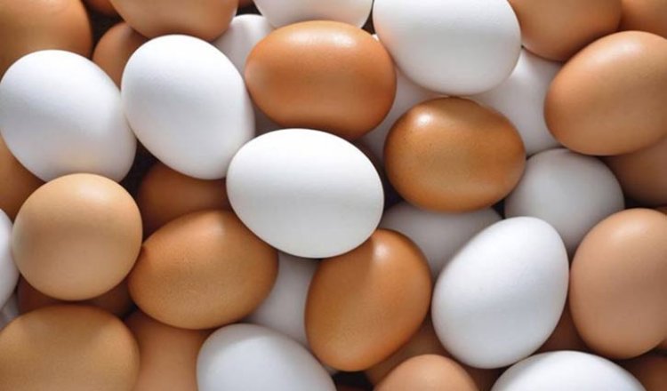 কারসাজি করে ডিমের দাম বাড়ানো হয়েছে: ভোক্তা অধিকার