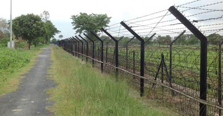 কাঁটাতারের ওপারে পড়ে আছে লাশ, ধানখেত থেকে ধরে নিয়ে যায় বিএসএফ