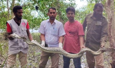 লোকালয় থেকে ১২ ফুট লম্বা অজগর উদ্ধার