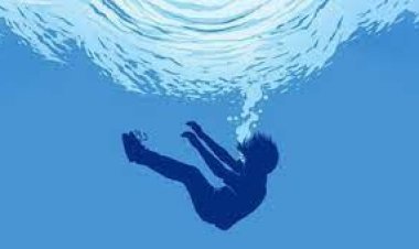 নেত্রকোনায় গর্তে ডুবে ২ শিশুর মৃত্যু