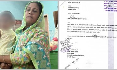 অন্যের সন্তানকে নিজের দেখিয়ে মাতৃত্বকালীন ছুটি, শিক্ষিকা বরখাস্ত