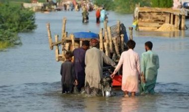  পাকিস্তানে বন্যায় মৃতের সংখ্যা প্রায় ১৩০০