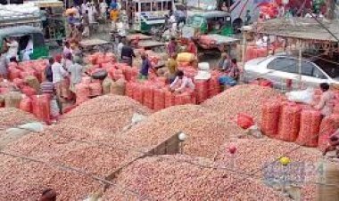 লোকসানের হিসাব কষছেন পেঁয়াজচাষিরা