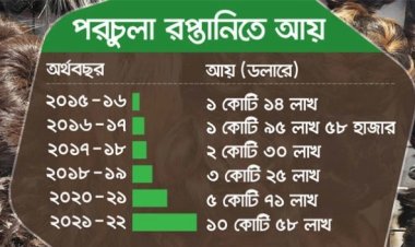 ১০ বছরে ১০ গুণ বেড়েছে পরচুলা থেকে রপ্তানি আয়