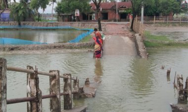 পিকআপের ভারে ভেঙে পড়ল সেতু, বিপাকে ৫ গ্রামের মানুষ