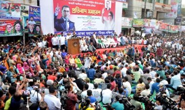 সরকার দেশে নৈরাজ্য সৃষ্টির পায়তারা করছে: মির্জা ফখরুল