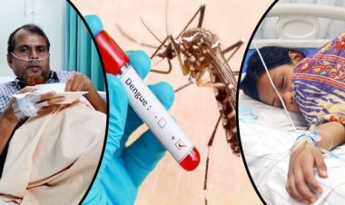 ডেঙ্গু জ্বর নিয়ন্ত্রণের ঘরোয়া ৫ উপায় জেনে রাখুন