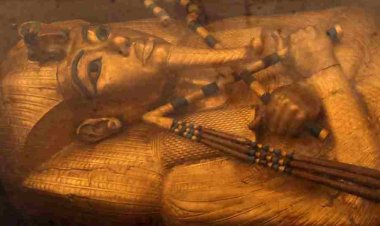 তুতেনখামেনের সমাধির গোপন কুঠুরিতেই রানি নেফারতিতি? দাবি গবেষকদের