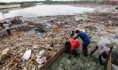 সাভারে পরিবেশ ছাড়পত্রের আবেদন না করা ট্যানারি বন্ধের সুপারিশ