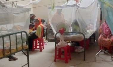  ডেঙ্গুরোগীর চাপে কোনো হাসপাতালে বেড ফাঁকা নেই: স্বাস্থ্য সচিব