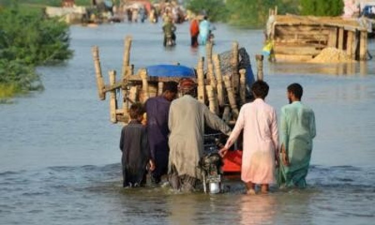  পাকিস্তানে বন্যায় মৃতের সংখ্যা প্রায় ১৩০০