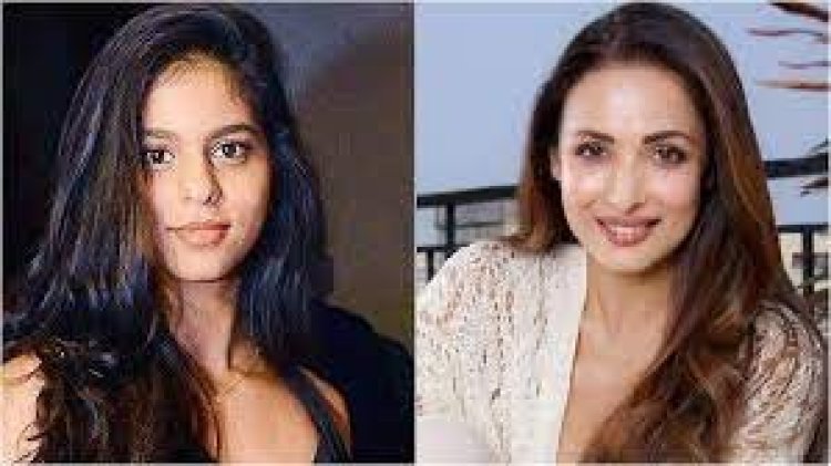 শাহরুখকন্যাকে মালাইকার সঙ্গে তুলনা