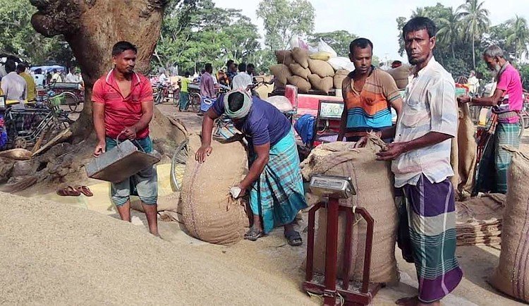  ডিজেল-সারসহ অন্যান্য দ্রব্যমূল্যের  ঊর্ধ্বগতিতে দুশ্চিন্তা কাটছে না কৃষকের
