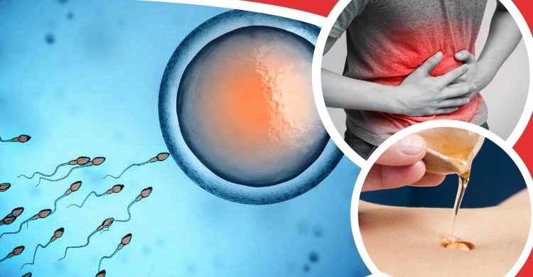 নাভিতে তেল ব্যবহারেই সারবে যেসব রোগ